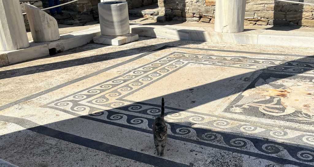 Spread thin but still&nbsp;around