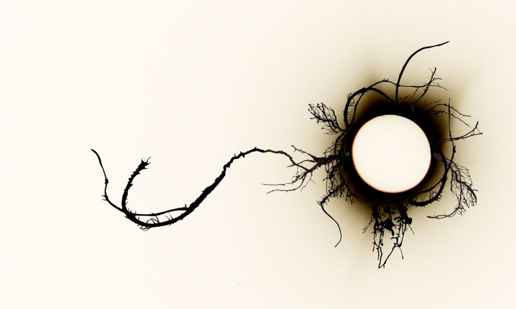 Bonus Content for Muse’s One Year&nbsp;Birthday!